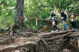 BIB: 
                            <button type="button" onclick="openModal(27556787)" class="btn btn-primary btn-sm float-right btn-popup" data-toggle="modal" data-target=".modal-high-quality">
                        <i class="fas fa-shopping-cart"></i> Add to Cart
                    </button>
                                            <button type="button" onclick="isThisMe(27556787, true)" class="btn btn-success btn-sm float-right btn-popup btn-isme hidden" data-toggle="tooltip" data-placement="bottom" title="นี่คือรูปของคุณใช่ไหม คลิกที่นี่เพื่อเอาเข้าอัลบั้ม">
                        <i class="fas fa-plus"></i> Add to album
                    </button>
                    <button type="button" onclick="isThisMe(27556787, false)" class="btn btn-warning btn-sm float-right btn-popup btn-isnotme hidden">
                        <i class="fas fa-ban"></i> Remove from album
                    </button>